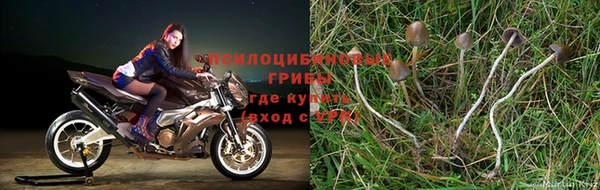 мет Абинск